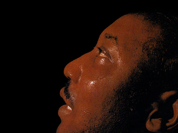 muddy_waters_the_best_of_muddy_waters